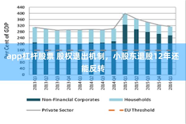 app杠杆股票 股权退出机制，小股东退股12年还能反转