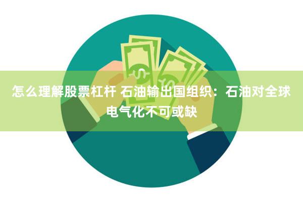 怎么理解股票杠杆 石油输出国组织:石油对全球电气化不可或缺