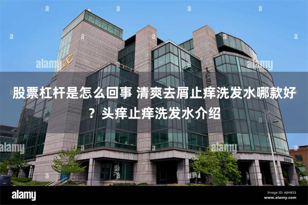 股票杠杆是怎么回事 清爽去屑止痒洗发水哪款好?头痒止痒洗发水介绍