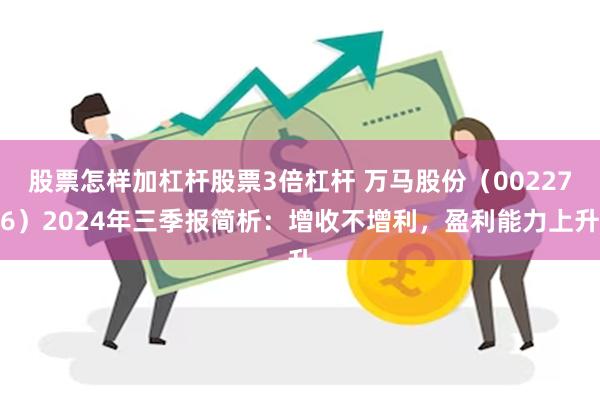 股票怎样加杠杆股票3倍杠杆 万马股份(002276)2024年三季报简析:增收不增利,盈利能力上升