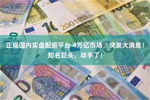 正规国内实盘配资平台 4万亿市场,突发大消息!知名巨头,动手了!
