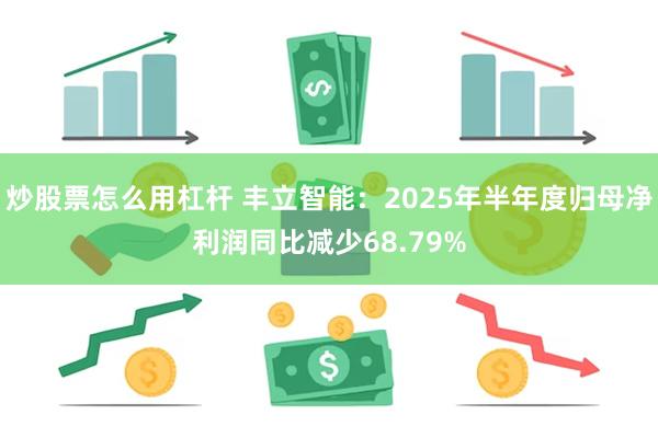 炒股票怎么用杠杆 丰立智能：2025年半年度归母净利润同比减少68.79%