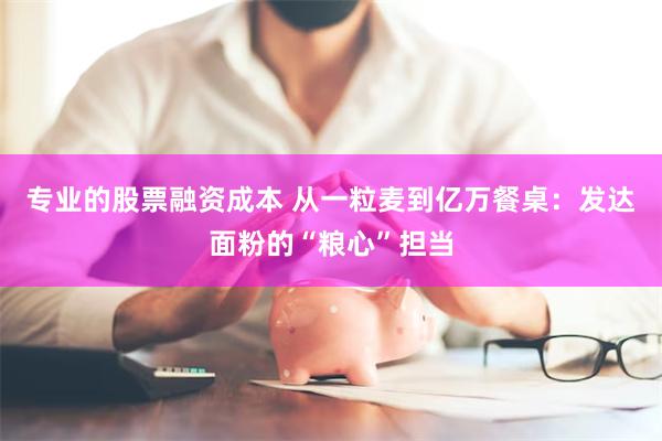 专业的股票融资成本 从一粒麦到亿万餐桌:发达面粉的“粮心”担当