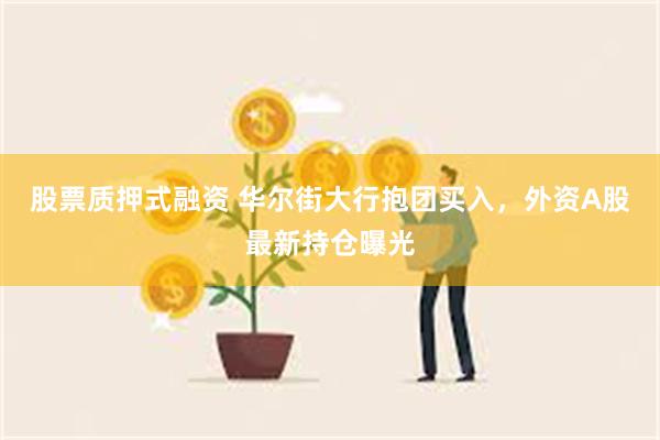 股票质押式融资 华尔街大行抱团买入，外资A股最新持仓曝光