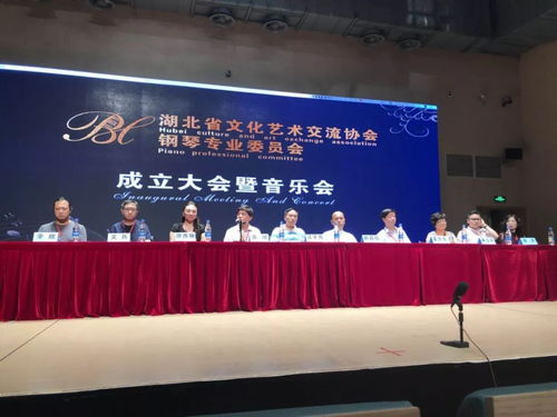 湖北省文化藝術(shù)交流協(xié)會(huì)鋼琴專業(yè)委員會(huì)成立暨音樂會(huì)大師班盛大舉行